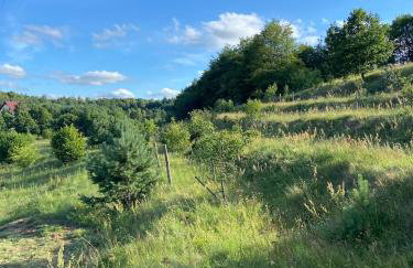 Jeleńczówka Alte Dorfschule - Foto 33