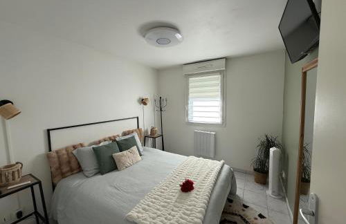 Suite Eden Spa, Appart'hôtel bien être , Patio de standing barbecue - TV XL CinéSport, Lit Q-Size, Wifi, P-Gratuit en Résidence - Foto 21