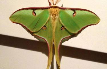 Alice Rocks - Pet Friendly, Firepit, WiFi - Foto 30