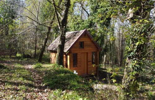 Associação Quinta das Relvas - Foto 67