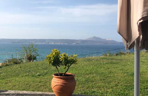 Cloudberry - Photo 18