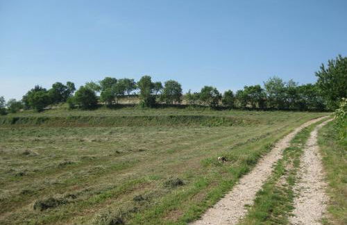 Agriturismo Campagnoletto - Foto 51