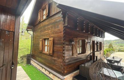 Slow leaving retreat in villa with heated pool, whirlpool, sauna, playground and barbeque in privacy near forest - Foto 22