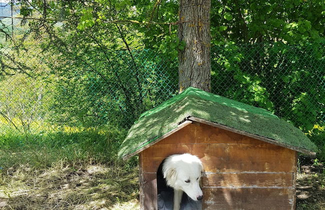 Cà Maggio Nuovo - Foto 2