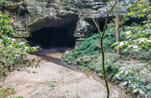 Rustic Chic Alabama Cabin w Loft Fire Pit Pet Friendly Fenced Yard Lake Guntersville - Lucky Lodge - Foto 63