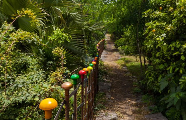 Tenuta Santa Tecla - Foto 70