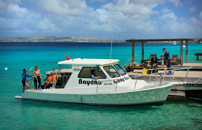 Belmar Oceanfront Apartments - Foto 51