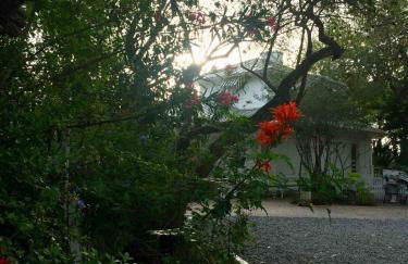 The Bryan House, Where History & Nature Meet! - Foto 37