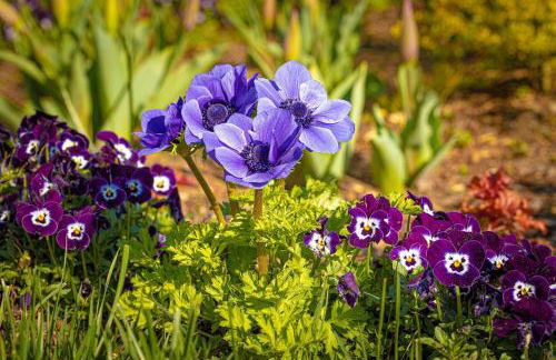 ShortLong Stays Welcome! Hot tub, Dog Friendly! - Foto 57