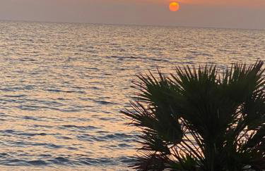 Secreta Vista - Foto 61