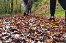 Fewo Traumblick - Foto 9