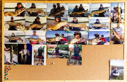 Całoroczne Domki Cameo nad jeziorem żarnowieckim - Foto 39