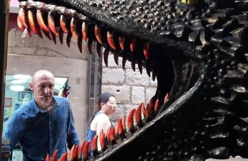 Apartments Carmen & Tosca -Studio with Patio - Foto 41