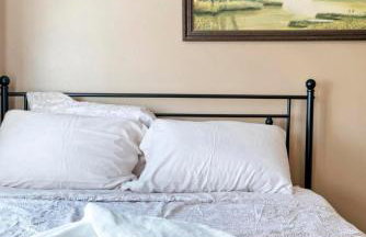 The Serenity Manor - Photo 5