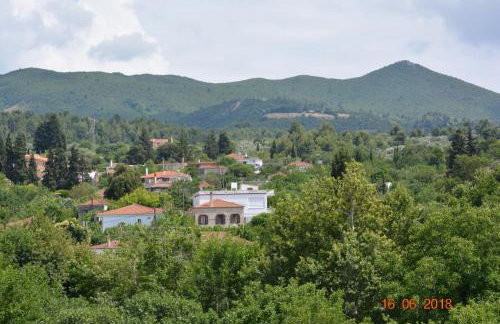 ELENI'S VILLAGE RELAXATION HOME - Photo 37