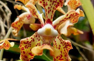 Unique Lava House by steaming crater - Photo 56