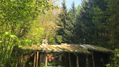 Das wilde Auwaldhaus - Foto 3