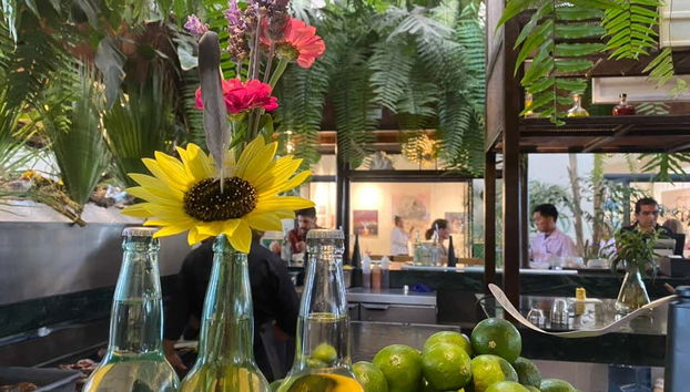 Enjoy a delicious lunch at a local restaurant