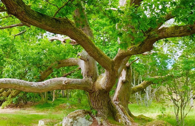 4 Star Holiday Home in Ronneby-by Traum - Photo 7