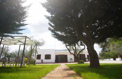 Gli Ulivi di Gino - Foto 52