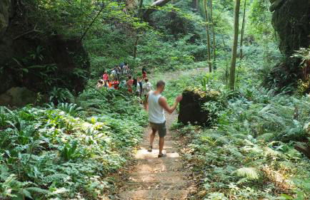 Apartamentos Rurales "La Torre" y "El Pielago" - Foto 54