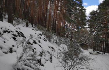 Las Encarnas - Foto 65