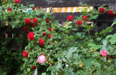 Ferienwohnung am Walnussbaum - Foto 17