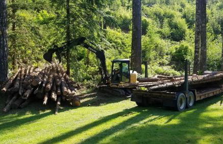 Kanati Falls Ranch - Foto 62