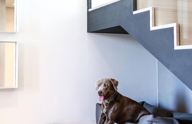 Exklusives Landhaus auf Fehmarn - Foto 33