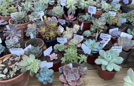 Lieu paisible et indépendant - Foto 31