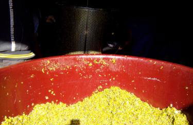 Dom Wakacyjny Quattro Niesulice - Foto 54