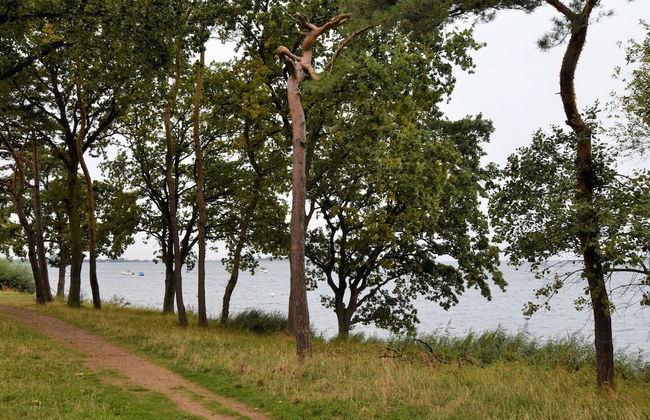 Holiday Home in Am Salzhaff - Photo 14