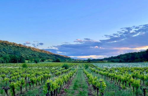 Château de Gragnos - Foto 7