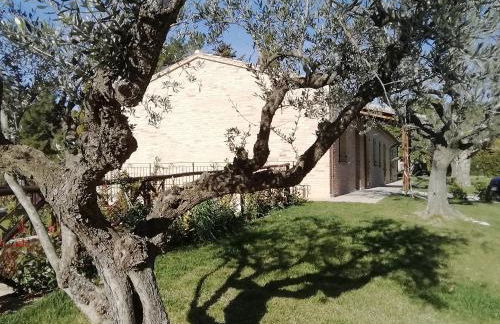 Il Roccolo Di Valcerasa - Foto 33