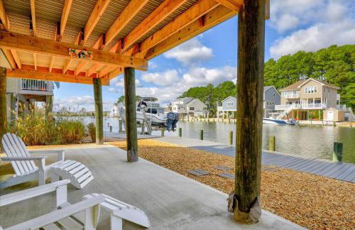 Coastal Crab - Foto 13