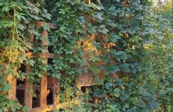 Dom na Warmii -Siedlisko Jabłonka - Foto 28