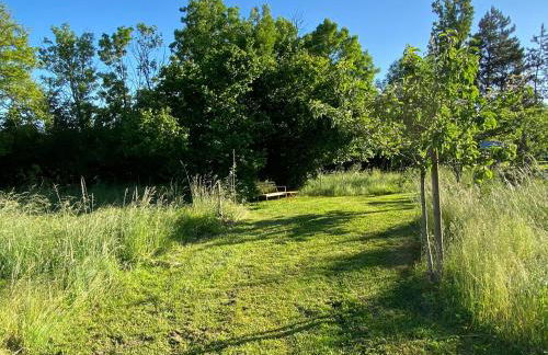 Gîte au calme avec jardin et wifi à Saint-Doulchard - FR-1-586-68 - Foto 19