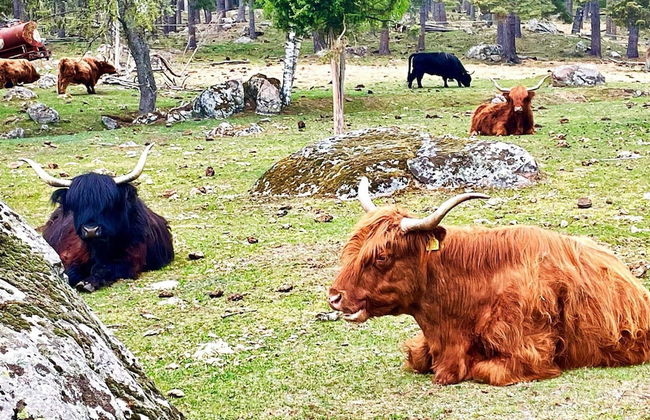 3 Person Holiday Home in Berga-by Traum - Foto 13