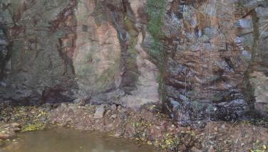 Bangalô dos Araçás - sítio Vô Haack - Foto 4