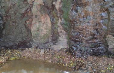 Bangalô dos Araçás - sítio Vô Haack - Foto 4