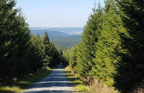 Ferienwohnung "Waldzauber" - Foto 18