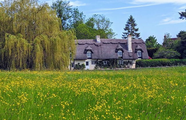 Cottage-fireplace-garden-petsok-3br-parking - Foto 20