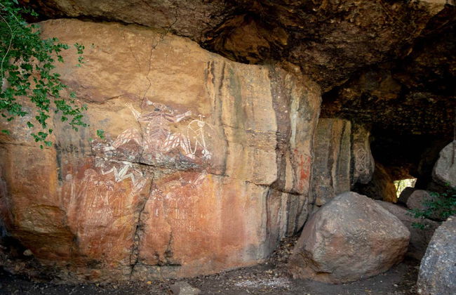Excursión al Parque Nacional Kakadu - Foto 4