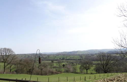 Canad Adar - Song of the Birds - Teifi Valley - Foto 39