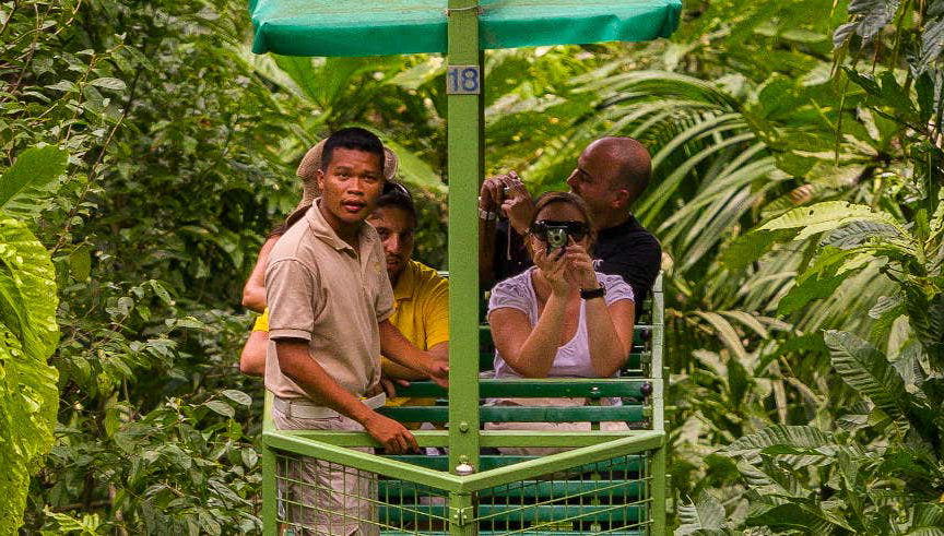 Excursion to Soberania National Park and Sloth Sanctuary