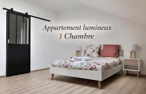 Appartement spacieux et lumineux proche gare - Foto 1
