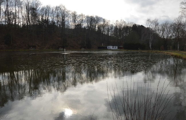 Modern Apartment in Eifel Near Forest - Foto 22