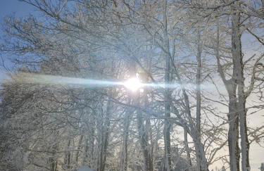 Gasthaus Piesau - Thüringer Wald - Rennsteig - Foto 73