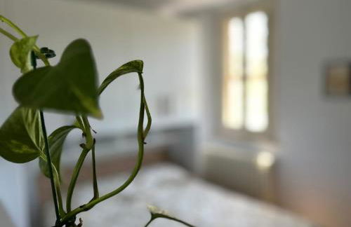 Ponterosso Guesthouse - Foto 8