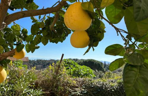 Casa antica Maremma Toscana - Foto 31